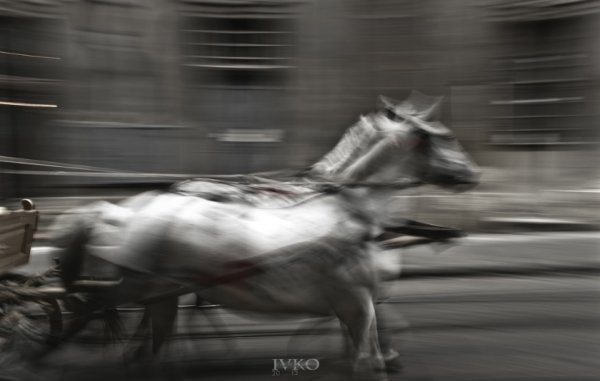 Фотовиставка Дениса Лобентовича